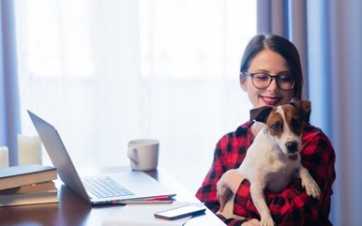 Amener son chien pour plus de bonheur en entreprise