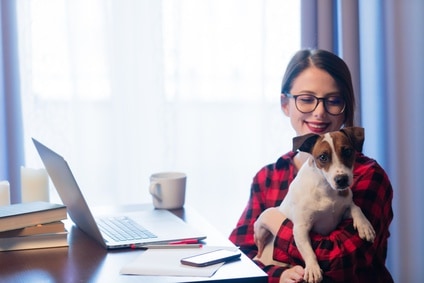 Amener son chien pour plus de bonheur en entreprise