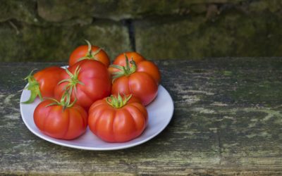 Manger bio, le secret du bonheur ?