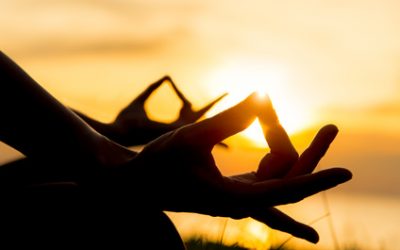 Les 3 clés de la Zen Attitude pour atteindre le bonheur