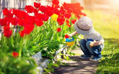 Les fleurs: nos alliées du bonheur