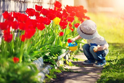 Les fleurs: nos alliées du bonheur