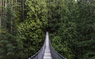 Le bonheur en ville ou à la campagne?