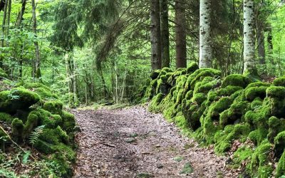 Le bonheur se cueille-t-il dans la nature?