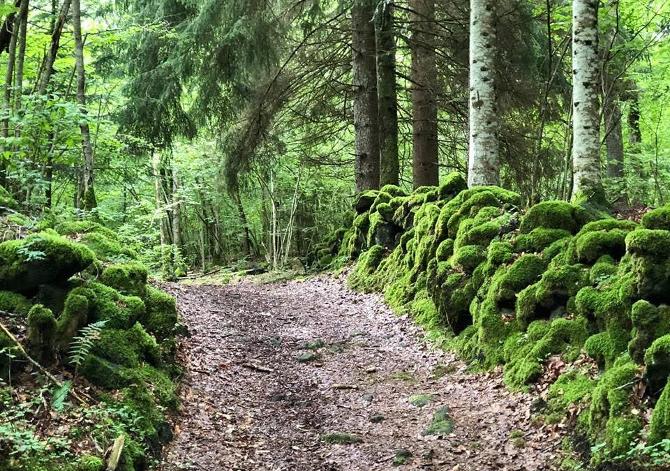 Le bonheur se cueille-t-il dans la nature?