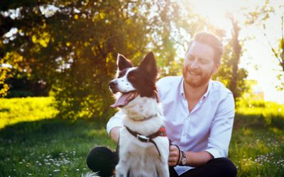 Le chien, compagnon du bonheur