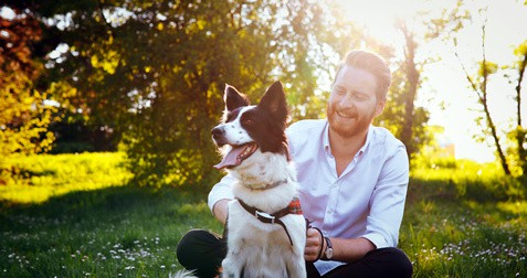 Le chien, compagnon du bonheur