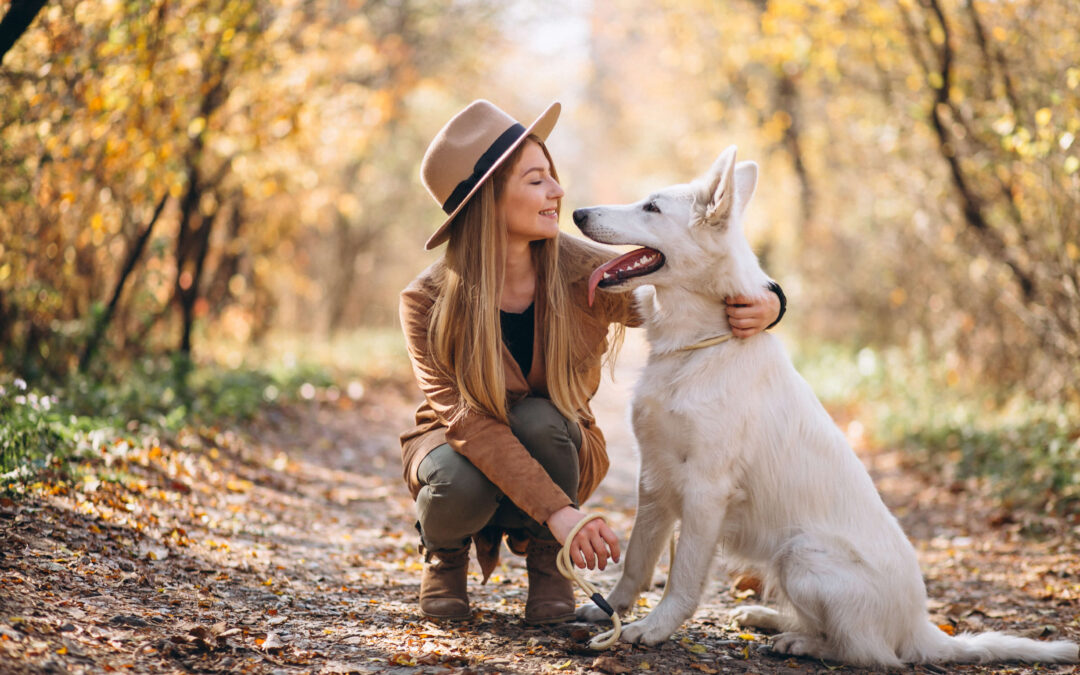 Les meilleurs noms de chien porte-bonheur